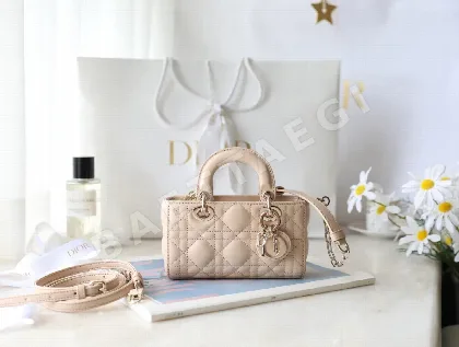 디올 165236 가방 Dior Bag