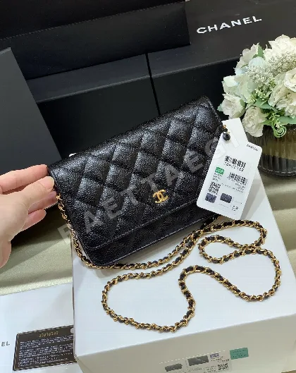샤넬 클래식 월렛 온 체인 가방 A33814