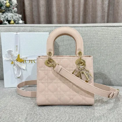 디올 가방 16691