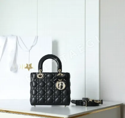 디올 165246 가방 Dior Bag