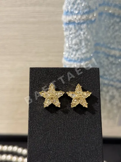 샤넬 귀걸이 65866 Chanel Earrings