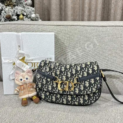 디올 가방 16539