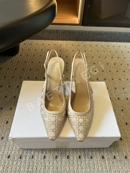 디올 뾰족코 하이힐 신발 8629