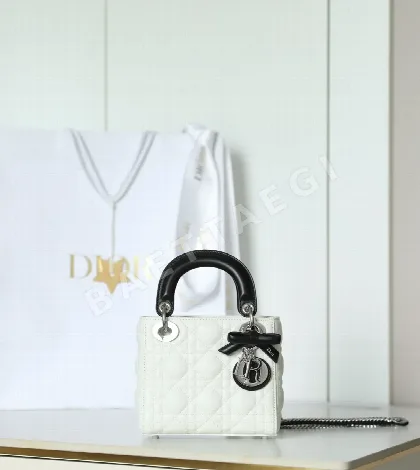 디올 165252 가방 Dior Bag
