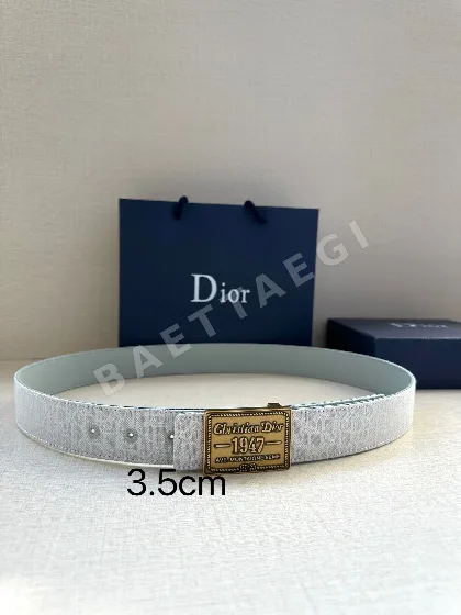 디올 벨트 59901 Dior Belt
