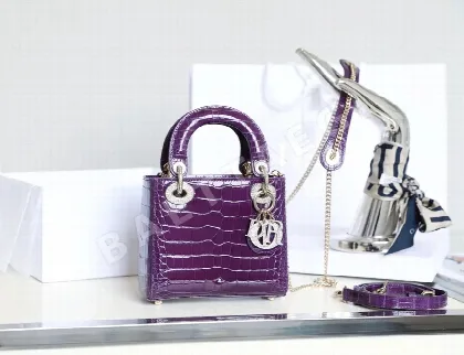 디올 165393 가방 Dior Bag