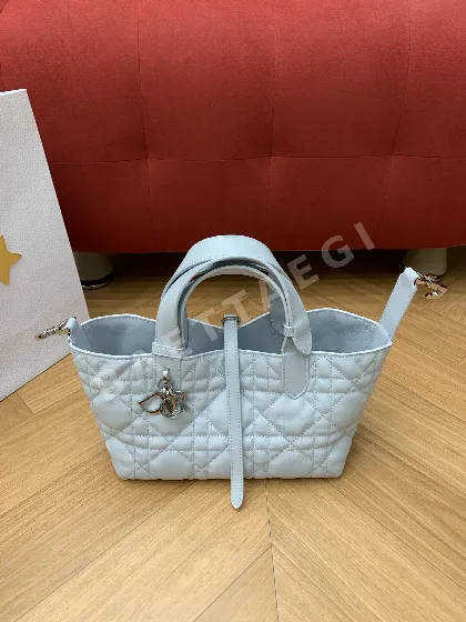 디올 투쥬르 스몰 그레셔 블루 가방 106172