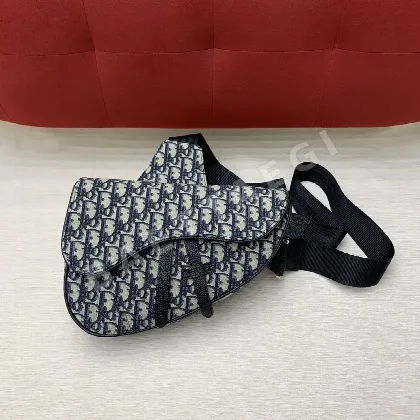 디올 새들백 가방 190566