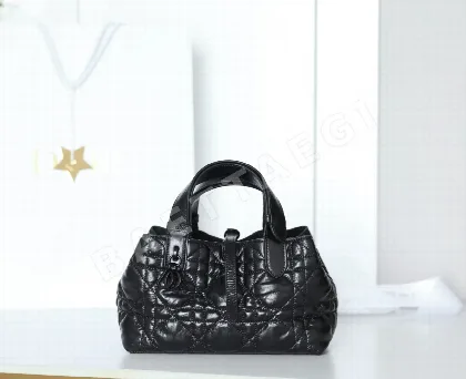 디올 165262 가방 Dior Bag