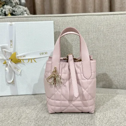 디올 버티컬 어딕트 미니백 16663