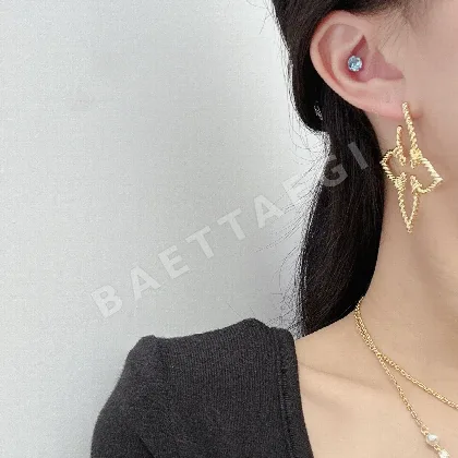 루이비통 귀걸이 64140 Louis Vuitton Earrings