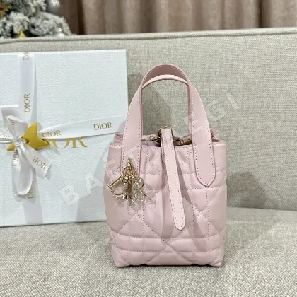 디올 버티컬 어딕트 미니백 16663