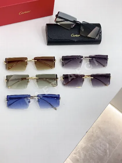 까르띠에 선글라스 72407 Cartier Sunglasses