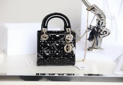 디올 165265 가방 Dior Bag