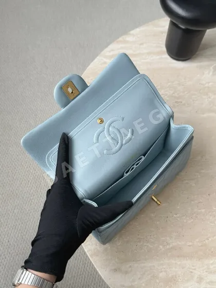 샤넬 가방 Chanel 33365