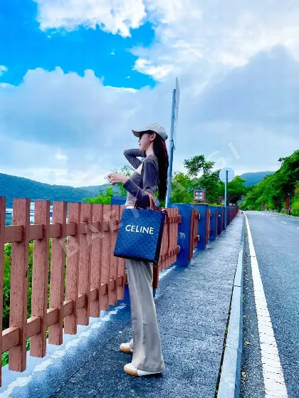 셀린느 스몰 프린트 가방 86087
