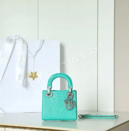 디올 165244 가방 Dior Bag