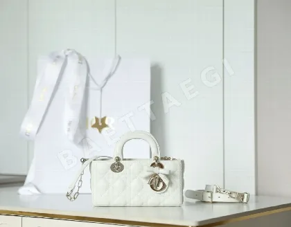 디올 165230 가방 Dior Bag
