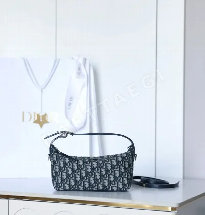 디올 165254 가방 Dior Bag