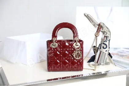 디올 165241 가방 Dior Bag