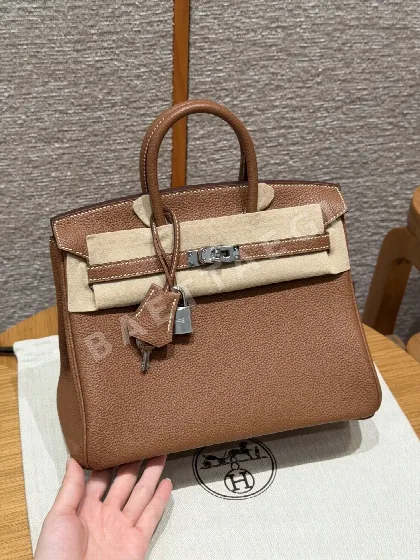 에르메스 버킨 25 토고 가방 144441