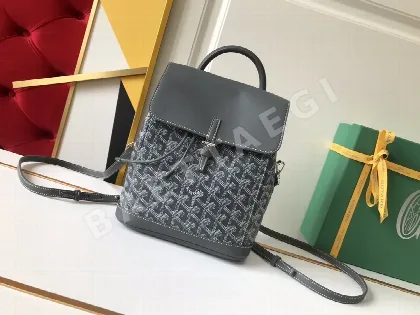 고야드 알팡 미니 백 77764
