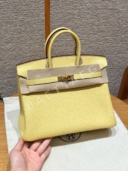 에르메스 버킨 25 cm 토고 가죽 가방 164260