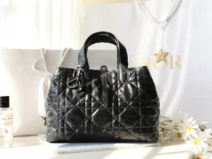 디올 165273 가방 Dior Bag