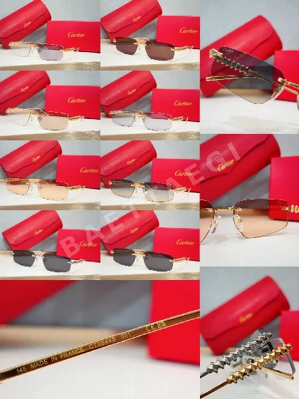까르띠에 선글라스 72310 Cartier Sunglasses