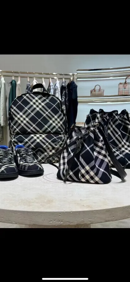버버리 체크 카메라 가방 허리가방 백팩 39980