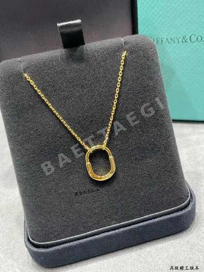 티파니 목걸이 70798 Tiffany & Co Necklace