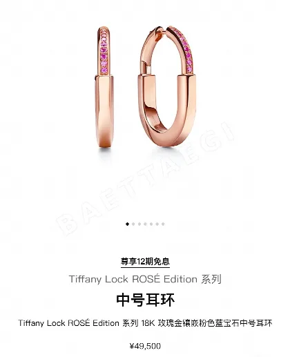 티파니 귀걸이 71051 Tiffany & Co Earrings