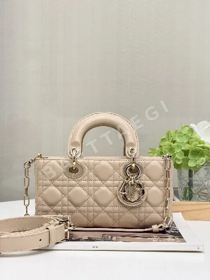 디올 레이디 언더암 가방 152594
