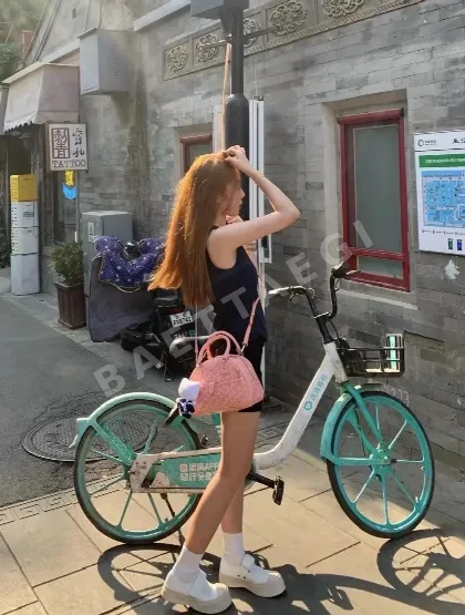 고야드 빈티지 스몰 볼링백 77595