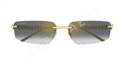 까르띠에 선글라스 72343 Cartier Sunglasses