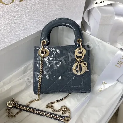 디올 레이디 가방 106568