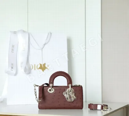 디올 165245 가방 Dior Bag
