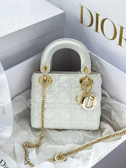 디올 레이디 가방 106348