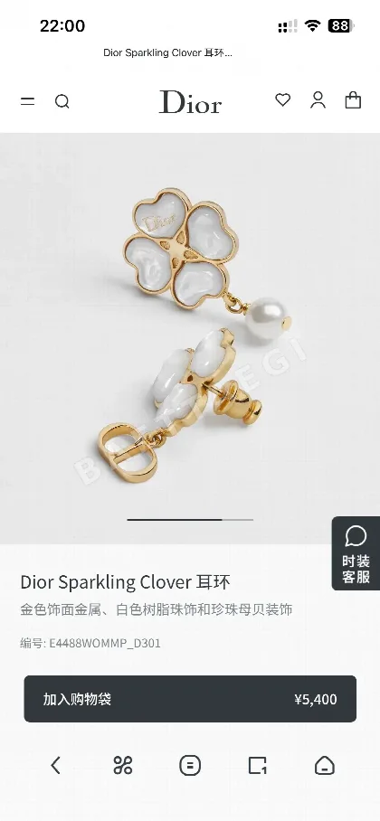 디올 레터링 메탈 귀걸이 134790