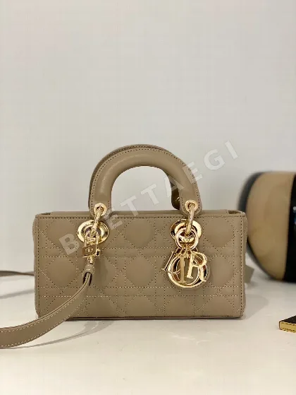 디올 레이디 언더암 가방 152637