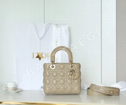 디올 165294 가방 Dior Bag