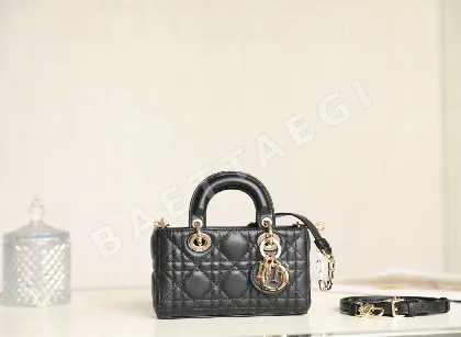 디올 165238 가방 Dior Bag