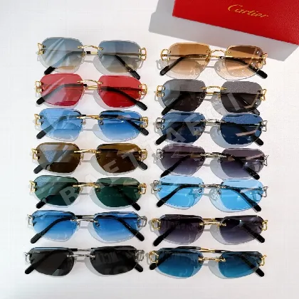 까르띠에 선글라스 72160 Cartier Sunglasses
