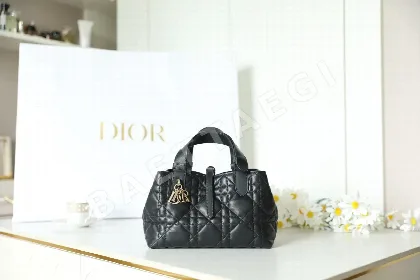 디올 165302 가방 Dior Bag