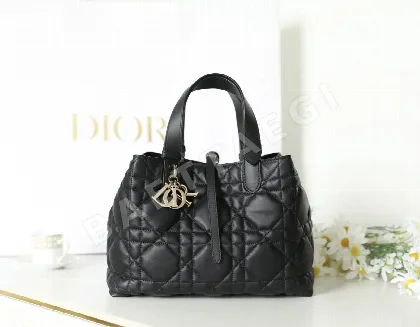 디올 165301 가방 Dior Bag