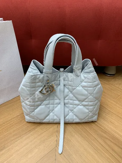디올 세스트 버킷백 190556