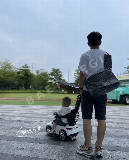 고야드 카페티앙 숄더 가방 77582