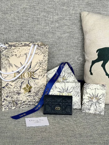 디올 카로 글리신 코인 카드 지갑 22486
