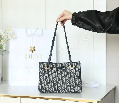 디올 165270 가방 Dior Bag
