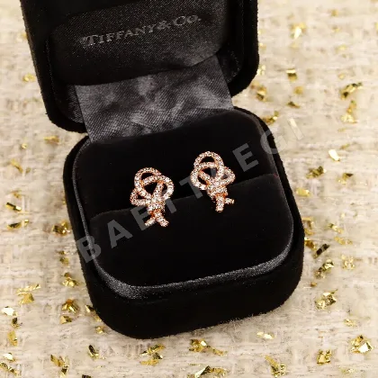 티파니 키 다이아몬드 귀걸이 70810